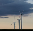 Windkraftfrderung schadet Umwelt