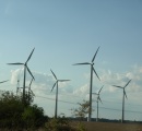 Windparks in Grobritannien 