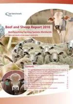 agri benchmark Beef Report 2010