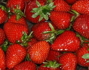 Schweizer Erdbeeren